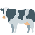 cow