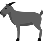 goat