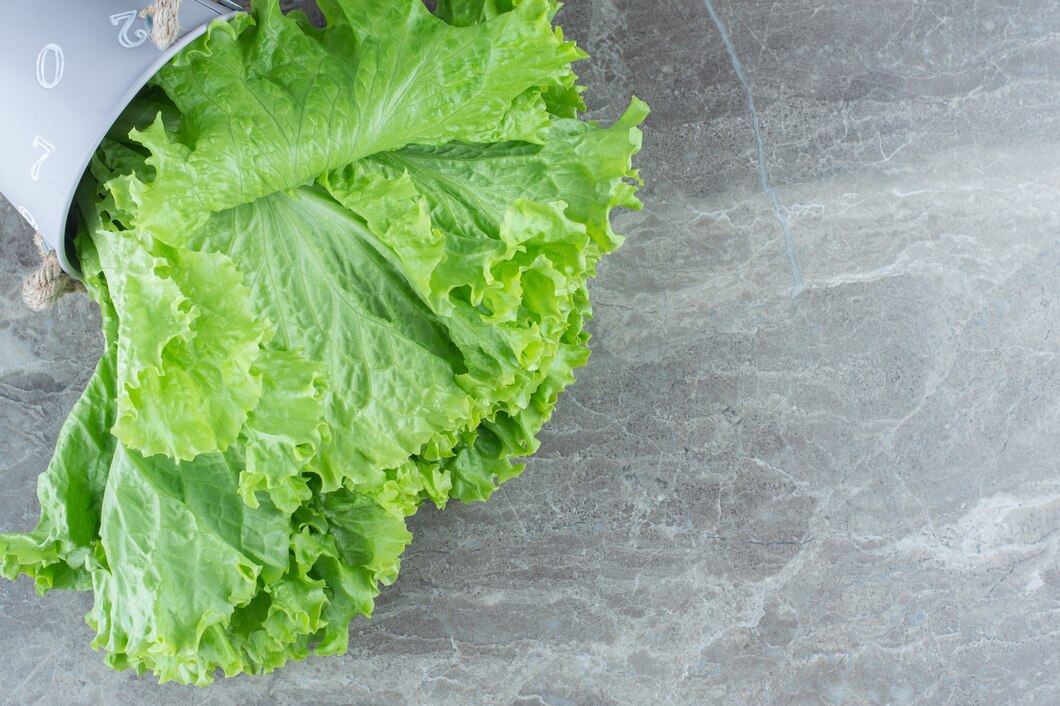 Fresh Iceberg Lettuce