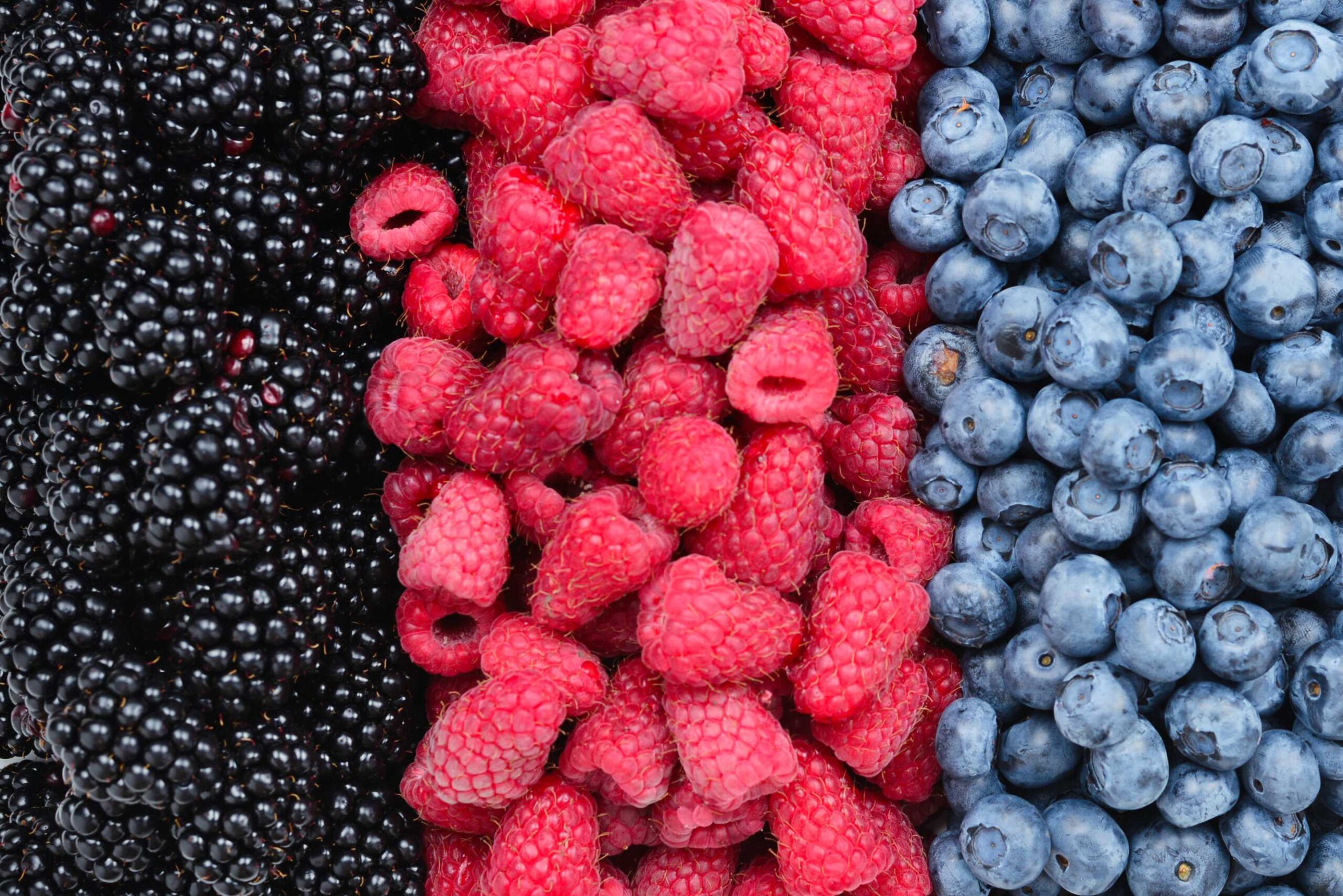 Blackberry, Raspberry, Blueberry